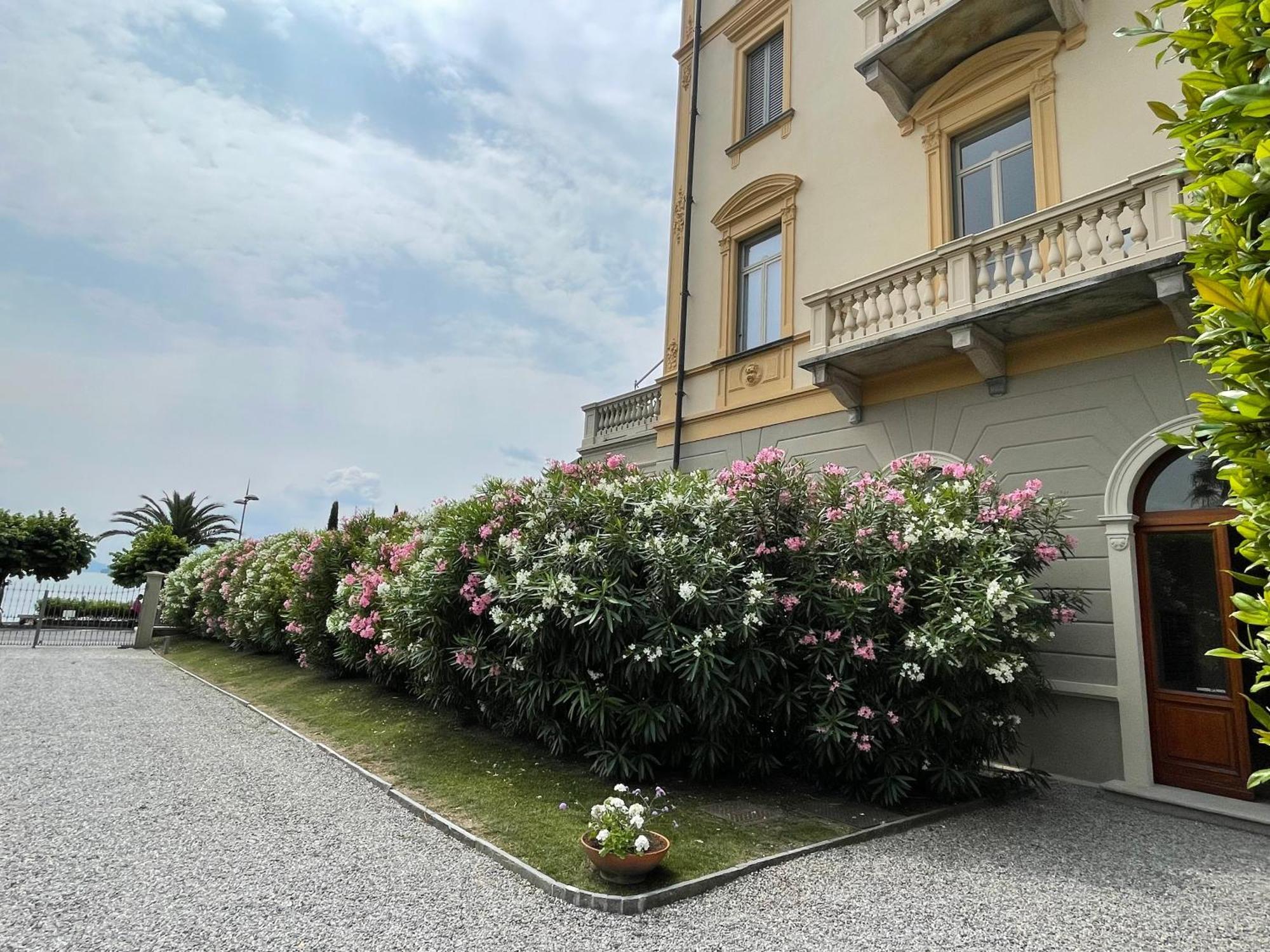 Apartament Residenza Victoria Menaggio Zewnętrze zdjęcie